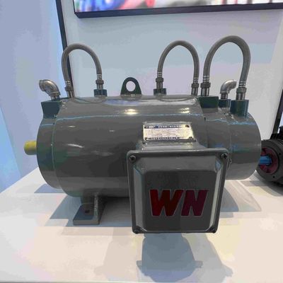 Marine Special Electric Motors Three Phase High Efficient CE IP66